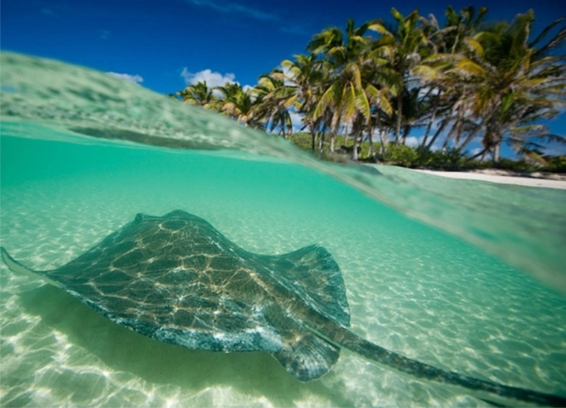 Photo Gallery ISLA MUJERES CATAMARAN