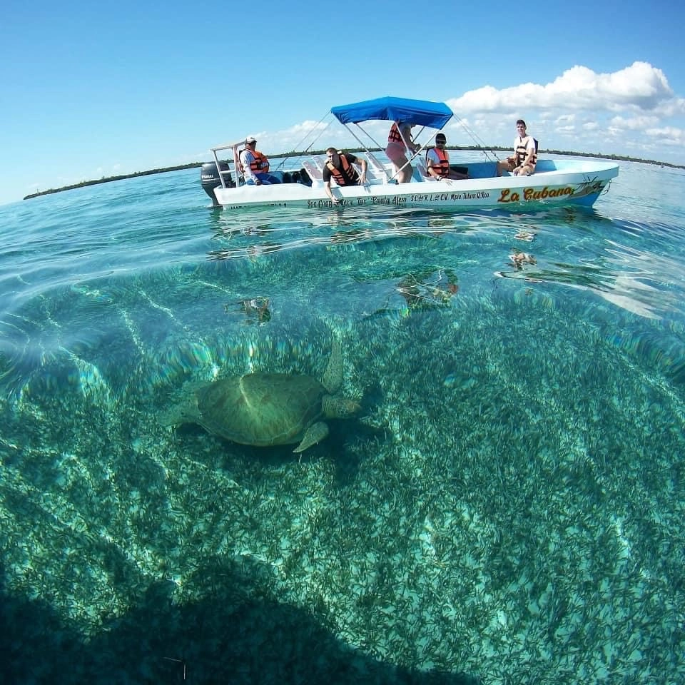 Photo Gallery AKUMAL SNORKEL TORTUGAS