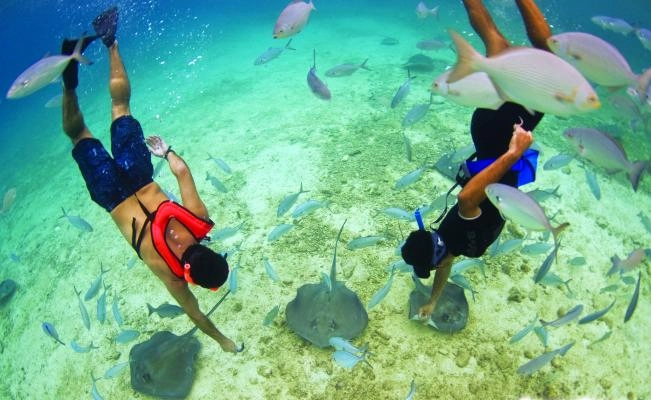 Photo Gallery SNORKEL EL CIELO ( Ferry Included )