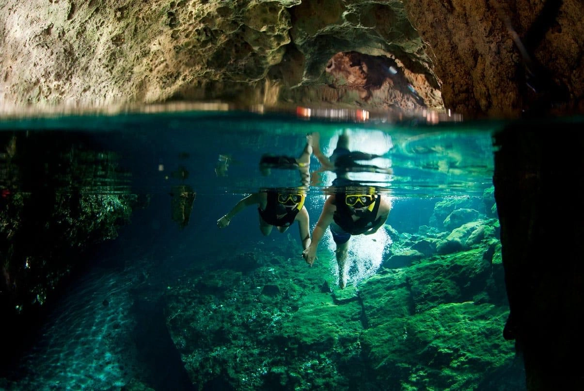 Photo Gallery 3 CENOTE JUNGLE